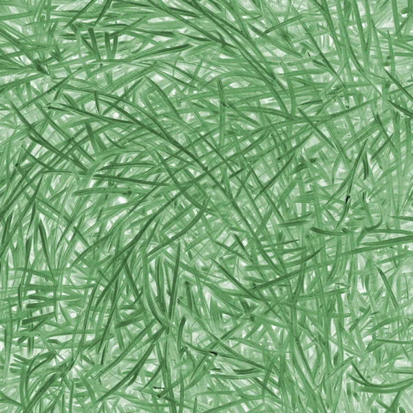 Background of  grass — Stock Photo, Image