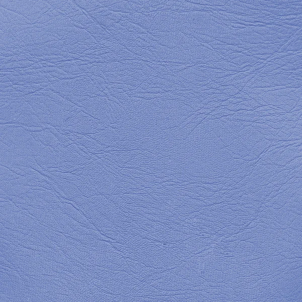 Mavi deri dokusu — Stok fotoğraf