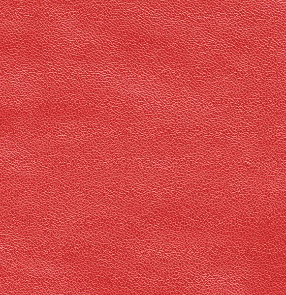 Rött läder texture — Stockfoto