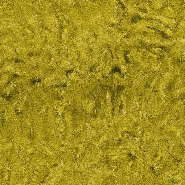 Yellow fur texture — Stock Photo, Image