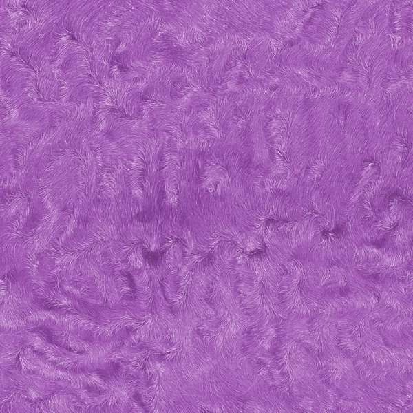 Texture de fourrure violette peinte — Photo