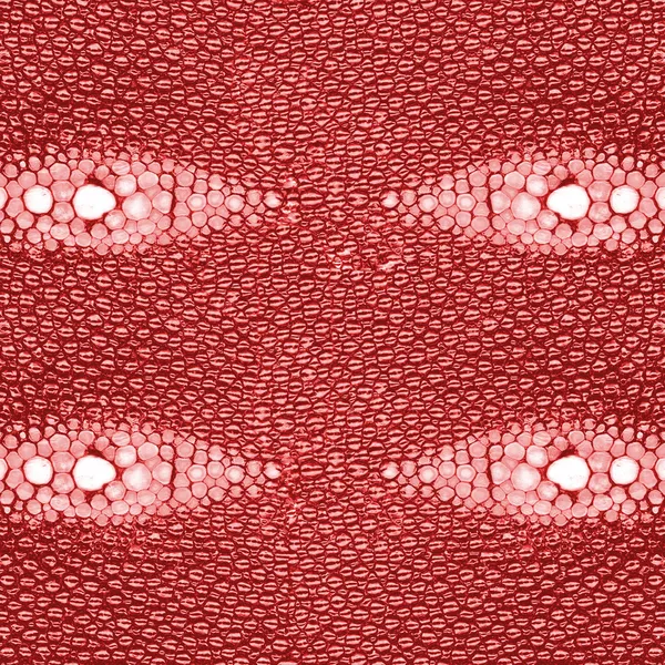 Stingray pele, fundo de couro vermelho decorado — Fotografia de Stock