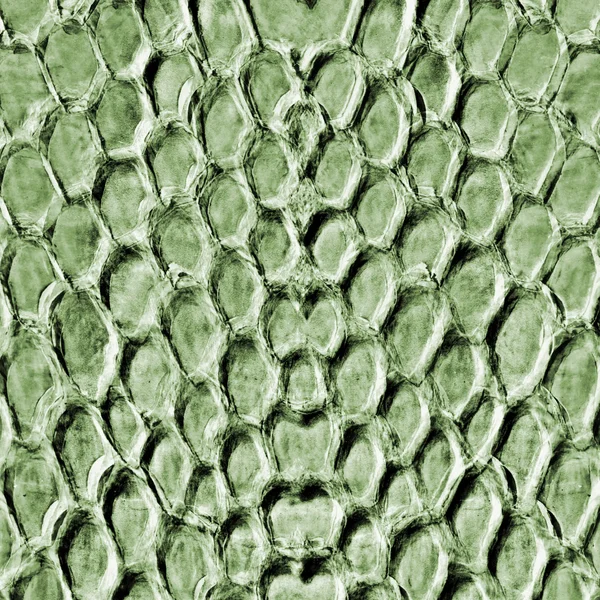 Zelené texturované pozadí — Stock fotografie