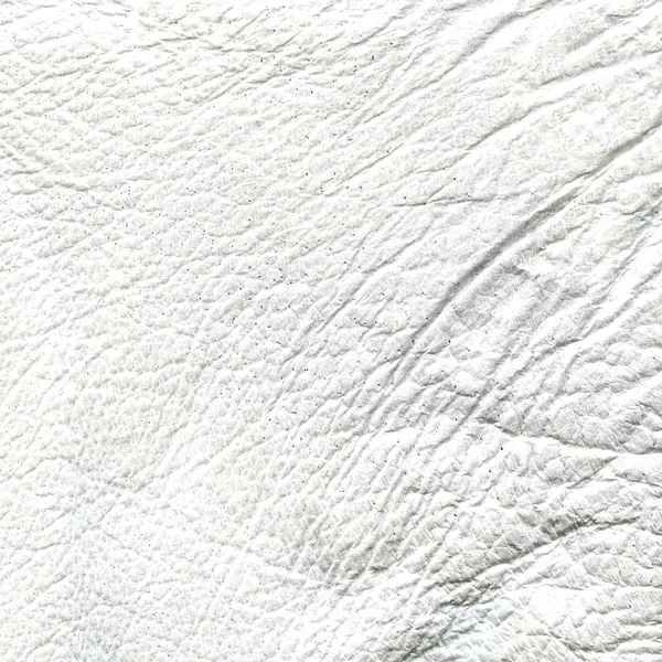 Yaşlı buruşuk beyaz deri — Stok fotoğraf