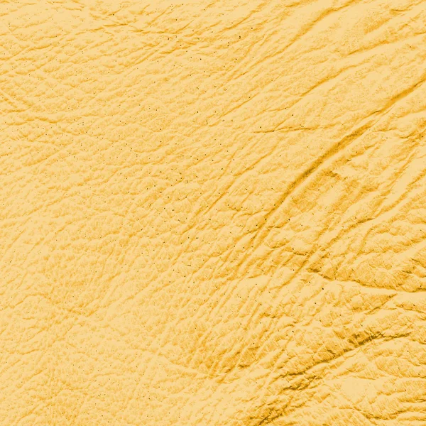 Vecchio cuoio giallo accartocciato — Foto Stock