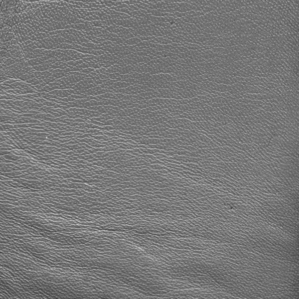 Textura de cuero gris — Foto de Stock