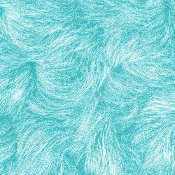 Blue fur texture — Stock Photo, Image