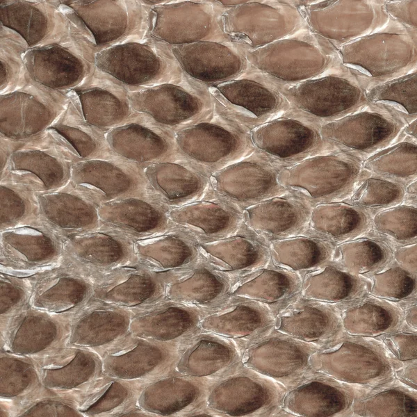 Pele de réptil marrom textura closeup — Fotografia de Stock