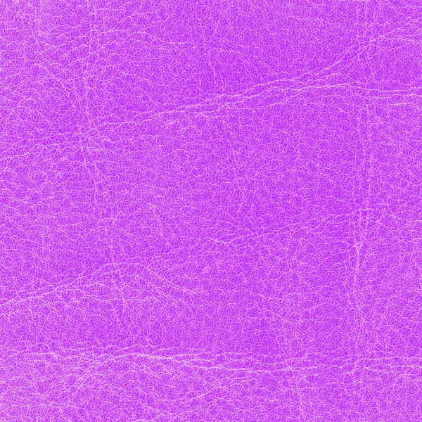 Violettes Leder — Stockfoto