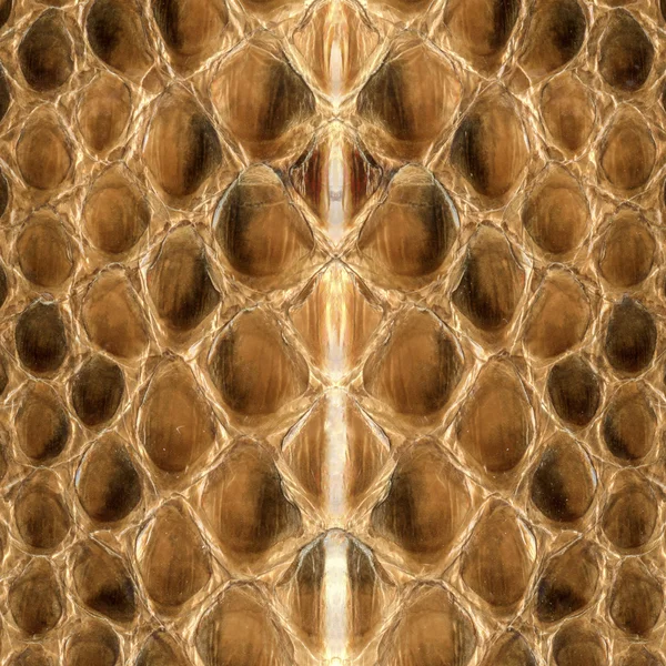 Background of reptile skin — Stock Photo, Image