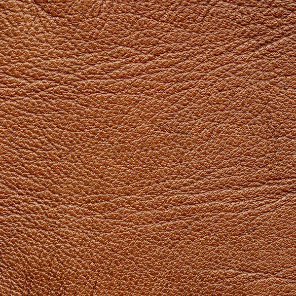 Textura de cuero — Foto de Stock