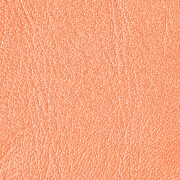 Leather texture — Stock Photo, Image