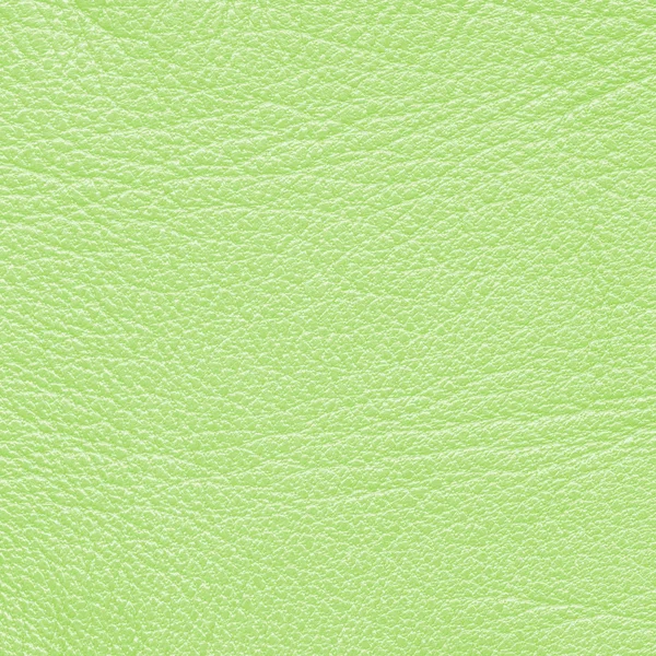 Textura de cuero verde — Foto de Stock