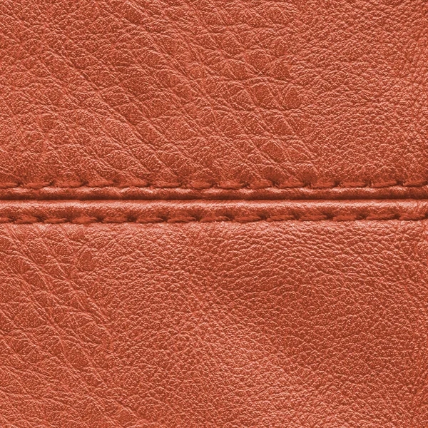 Texture cuir marron, point — Photo