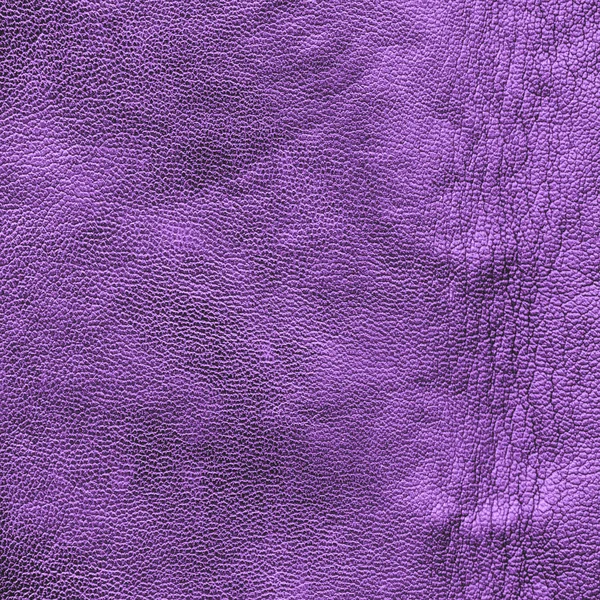 Texture en cuir violet froissé — Photo
