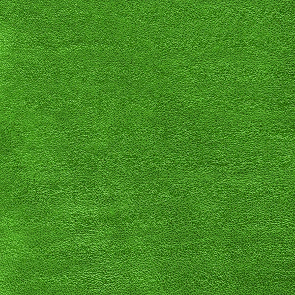 绿色材料织构 — 图库照片