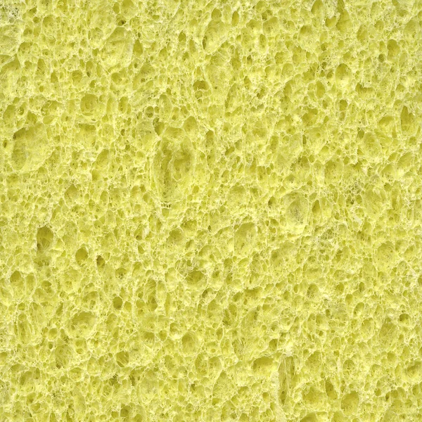 Sponge texture background — Stock Photo, Image