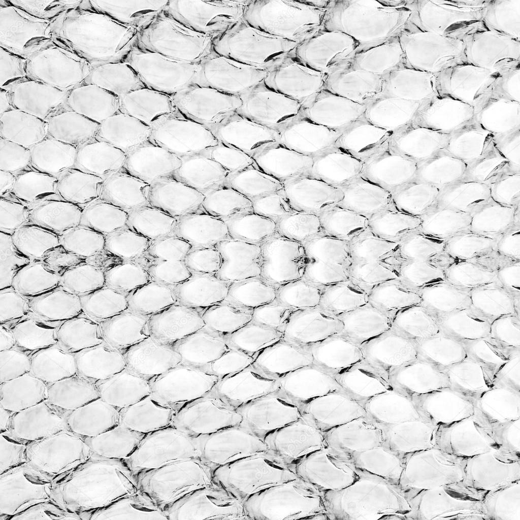Reptile skin, leather background 