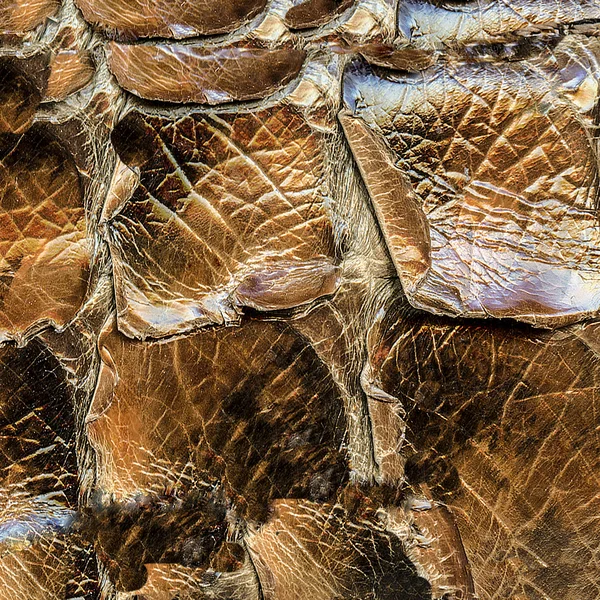 Кусок изделий из коричневой кожи крокодила — стоковое фото
