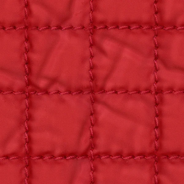Kırmızı ekose kumaş dokusu portre — Stok fotoğraf