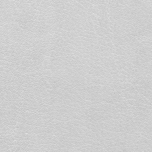 Light grey leather texture — Stock Photo, Image