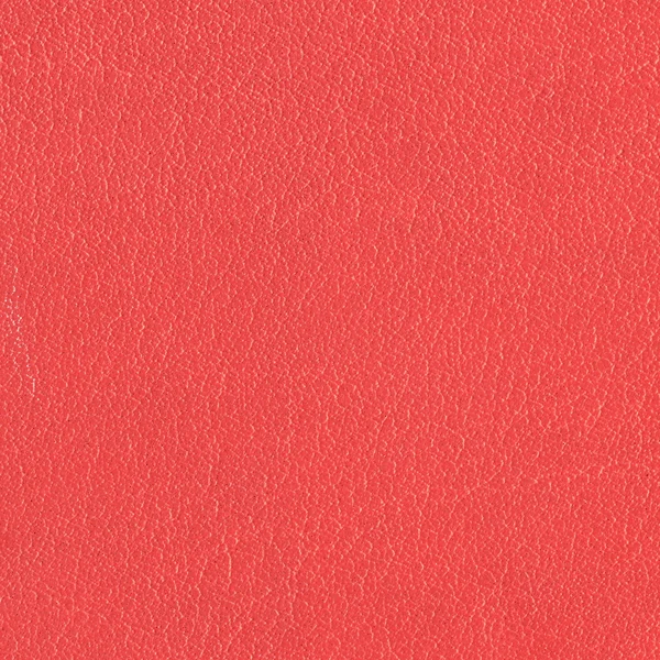 Kırmızı deri — Stok fotoğraf
