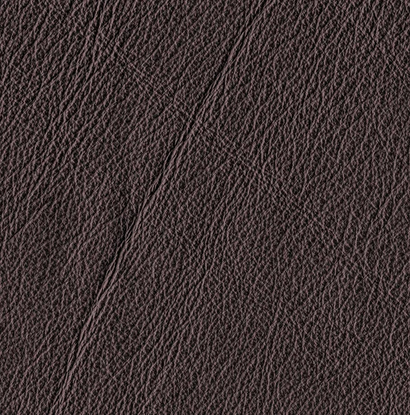 Brown leather texture closeup — Stock Photo, Image