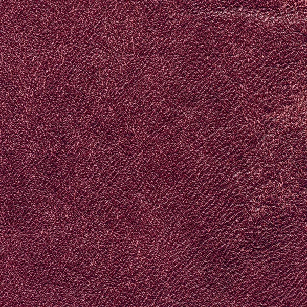 Vinous leather texture — Stock Photo, Image