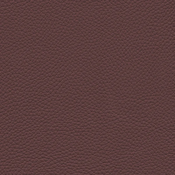 Leather texture — Stock Photo, Image