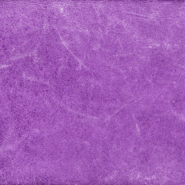 Textura de couro violeta — Fotografia de Stock