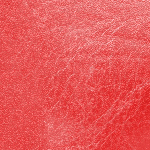 Leather texture — Stock Photo, Image