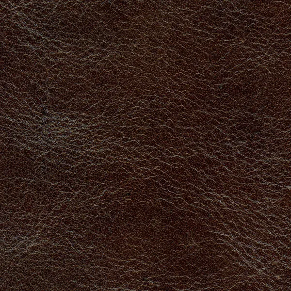 Texture cuir — Photo