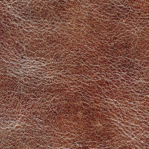 Textura de cuero —  Fotos de Stock