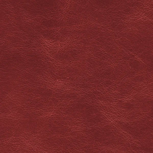 Leather texture — Stock Photo, Image