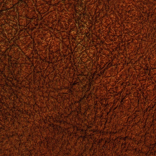 Cuero marrón —  Fotos de Stock