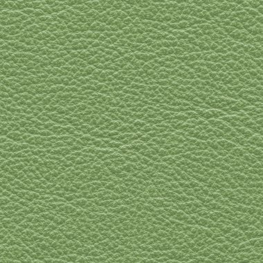 yeşil deri dokusu