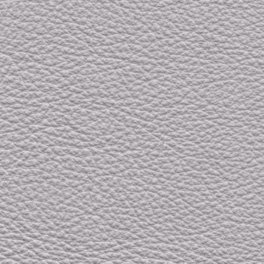 Beyaz deri dokusu portre