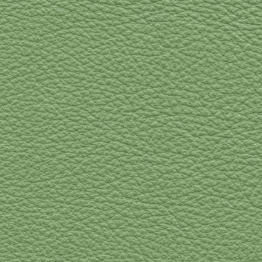 yeşil deri dokusu