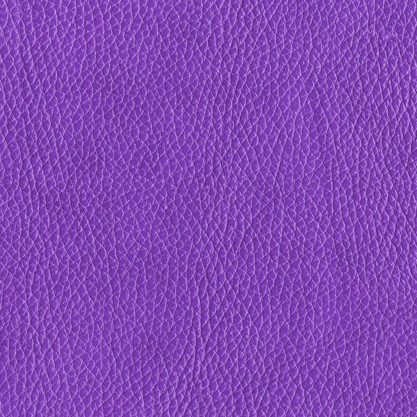 Texture cuir violet — Photo