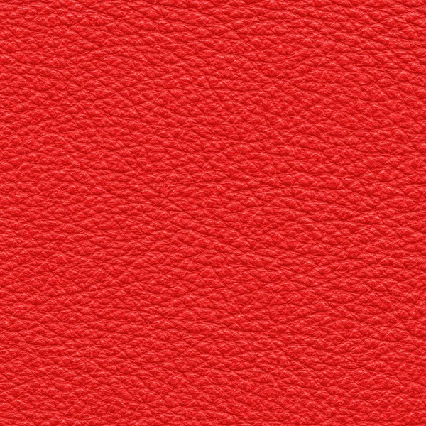 Textura de couro vermelho close-up — Fotografia de Stock
