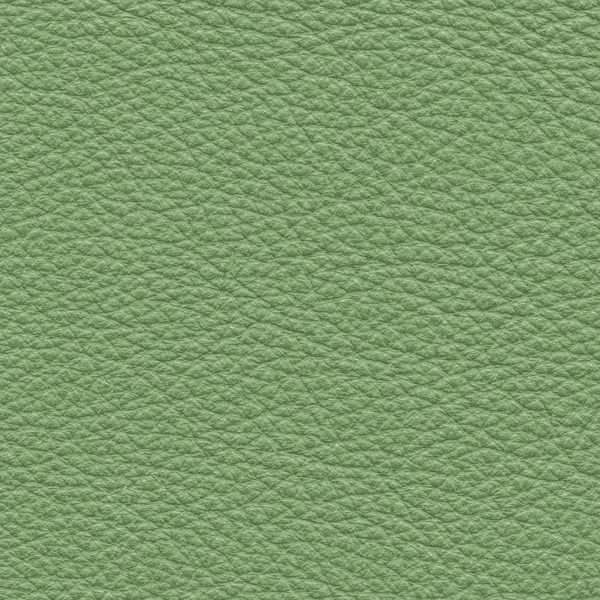 Green leather texture — Stock Photo, Image