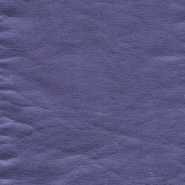 Verfrommeld violet leder texture — Stockfoto