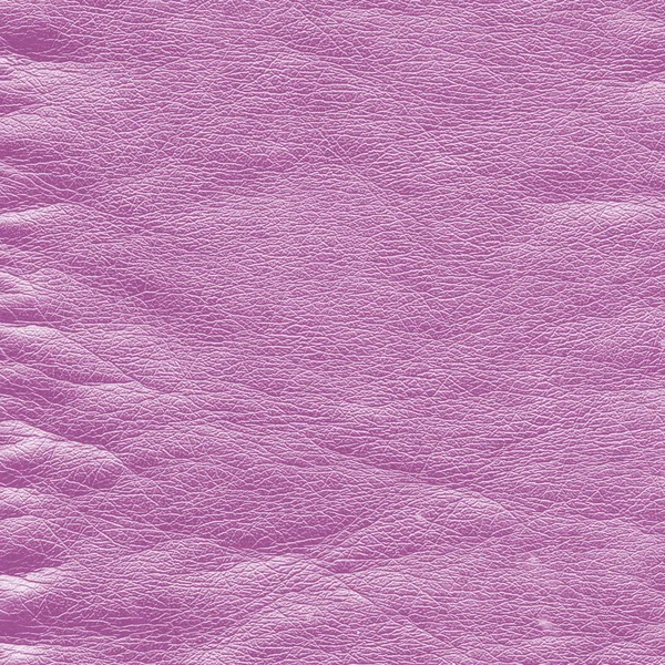 Смятая фиолетовая кожа — стоковое фото
