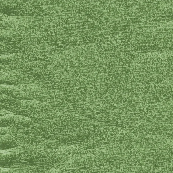 Zmięty zielony skórzany tekstura — Zdjęcie stockowe