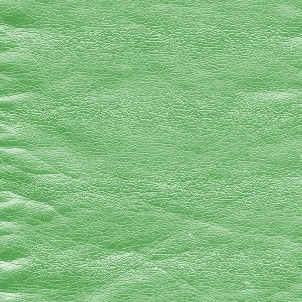 Texture en cuir vert froissé — Photo