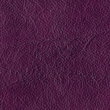 Mor deri dokusu portre