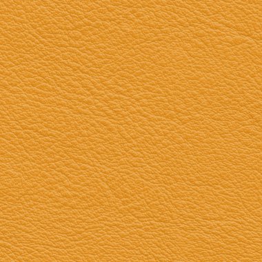 Sarı deri dokusu portre