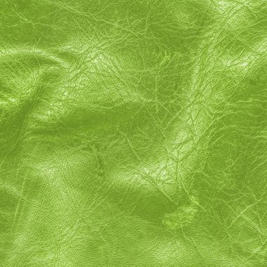 Yeşil buruşuk deri dokusu