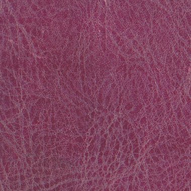 Mor deri dokusu portre