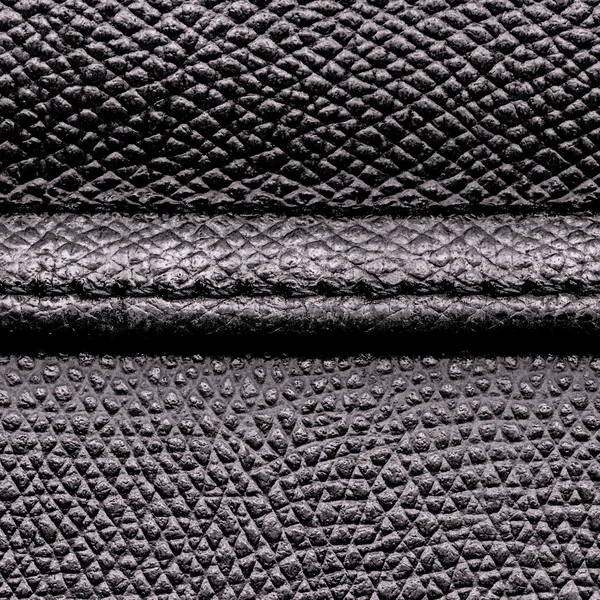 Texture cuir noir — Photo